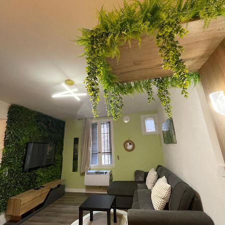 Magnifique Appartement Avignon Intra-Muros Eksteriør billede